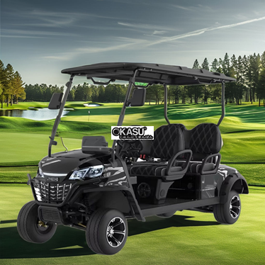 xe dien choi golf lgs041 hinh 1