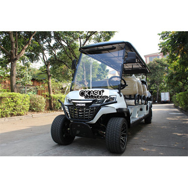 xe dien choi golf lqs061+2 hinh 1