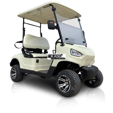 xe dien choi golf lqg023 hinh 1