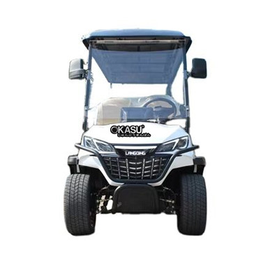 xe dien choi golf lqs061+2 hinh 1