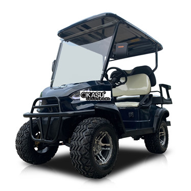 xe dien choi golf lqd040 hinh 1