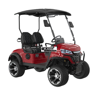 xe dien choi golf lqd021   hinh 1