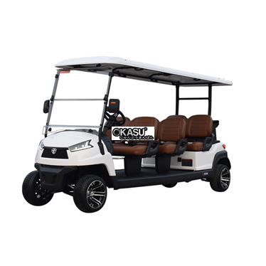 xe golf da dung 6 cho ngoi r6 hinh 1