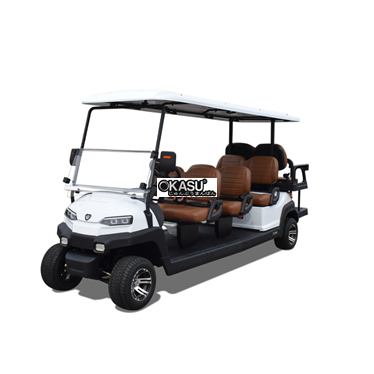 xe golf da dung 8 cho z6c hinh 1