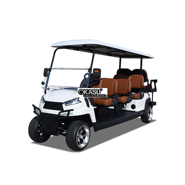 xe golf chay dien 8 cho r6c hinh 1