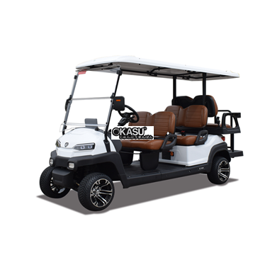 xe golf da dung 6 cho z4c  hinh 1