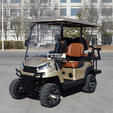 xe golf da dung 4 cho ngoi r2c mau vang  hinh 1