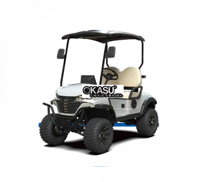 xe dien choi golf g-h2 hinh 1