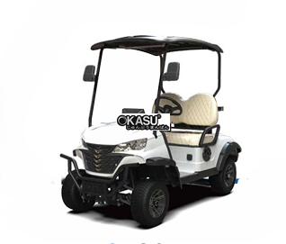 xe dien choi golf g-c2 hinh 1