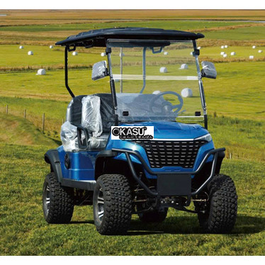 xe dien choi golf b-h2+2   hinh 1