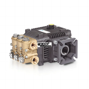 may bom piston ba xi lanh bm-f1 hinh 1