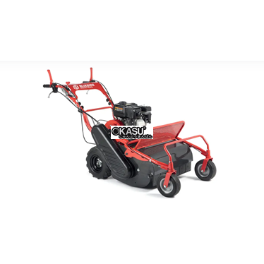 may cat co bluebird fm 600 hinh 1