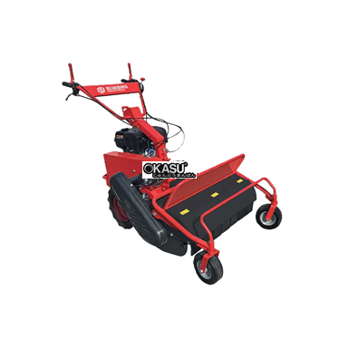 may cat co bluebird fm 750 hinh 1