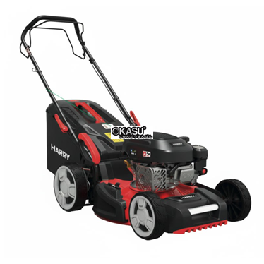 may cat co chay xang harry hr 5500 sxq hinh 1