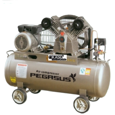may nen khi day dai pegasus tm-v-0.17/8-100l hinh 1