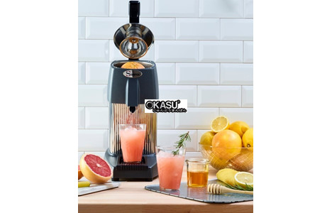 may ep trai cay santos 10 hinh 3