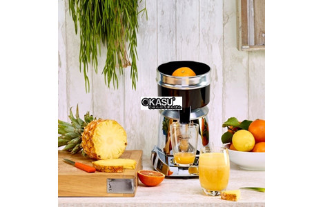 may ep trai cay santos 11 hinh 3