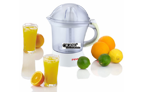 may vat cam - pensonic pj-10 hinh 2