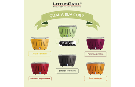 bep nuong ban tu dong than hoa dien lg-435(co dai) hinh 2