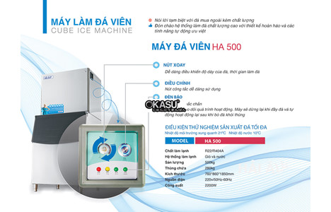 may lam da hai au ha 500 (500kg/24h) hinh 2