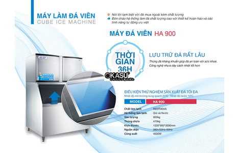 may lam da hai au ha 900 (900kg/24h) hinh 2