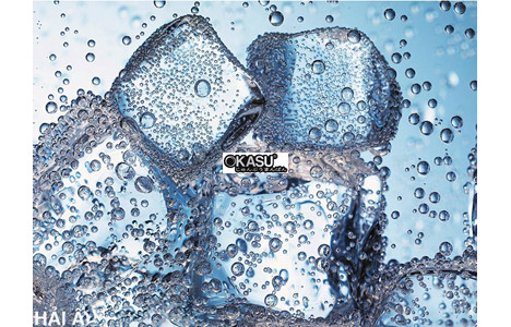 may lam da hai au ha 300 (300kg/24h) hinh 3