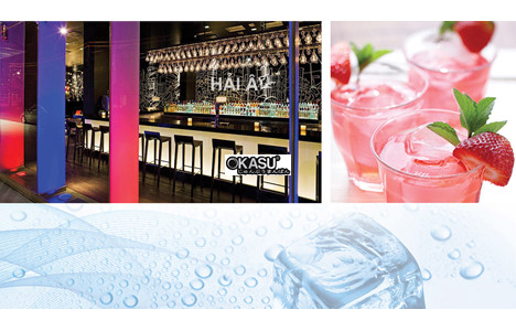 may lam da hai au ha 600 (600kg/24h) hinh 3