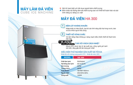 may lam da hai au ha 300 (300kg/24h) hinh 2