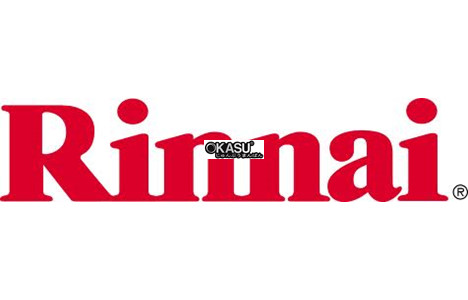 tu nau com rinnai  hinh 2