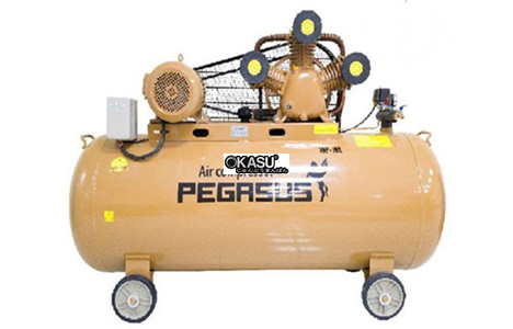 may nen khi pegasus tm-w-0.9/8-500l hinh 2