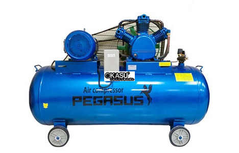 may nen khi pegasus tm-w-1.0/8-500l hinh 2