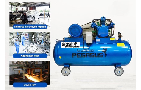 may nen khi pegasus tm-w-1.0/8-500l hinh 4