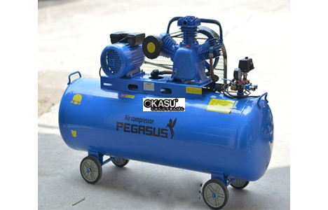 may nen khi pegasus tm-v-1.05/12.5-500l hinh 2