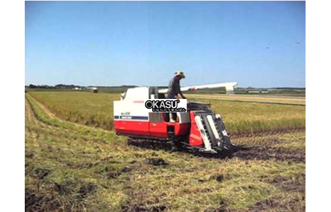 may gat dap lien hop yanmar ca485 hinh 2