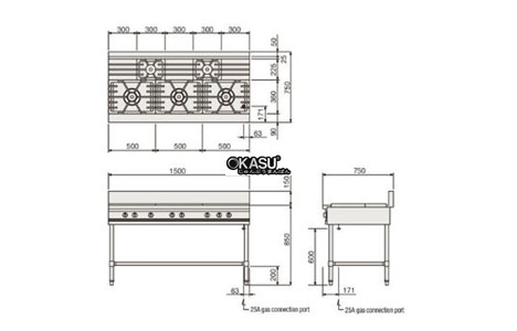 bep gas fujimark fgtns157532 hinh 3