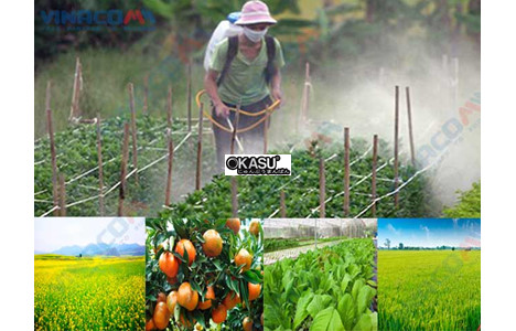 binh xit 2 thi fst 768sp hinh 3