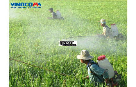 binh xit 4 thi pona gx25 hinh 3