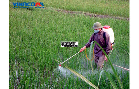 binh xit pona gx35 hinh 3