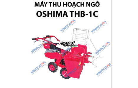 may thu hoach bap oshima thb - 1c hinh 3
