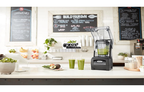 may xay chuyen dung vitamix the quiet one® hinh 2