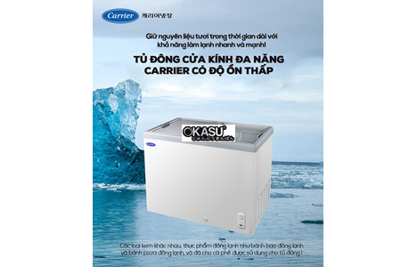 tu tru dong (cua kinh) carrier csdh-d300wa hinh 2