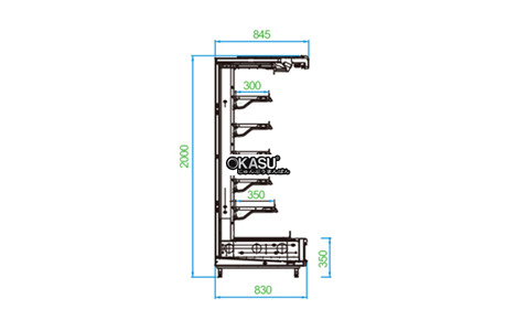  tu trung bay sieu thi carrier amn-d2520ad hinh 2