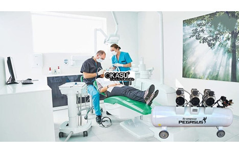 may nen khi khong dau, giam am pegasus tm-of750x3-180l hinh 4