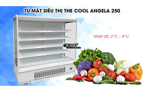tu mat sieu thi dang ho the cool angela 250 hinh 2