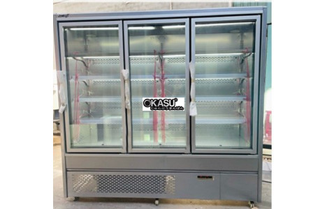 tu mat trung bay sieu thi 3 cua kinh cao cap snow village xc-zc-19 hinh 3