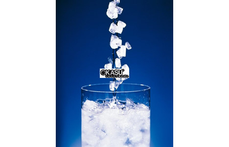 may lam da nugget 400kg/ngay hoshizaki fm-600ake-n-sb hinh 3