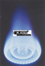 bep dien dung gas maruzen mgrxs-096f hinh 3