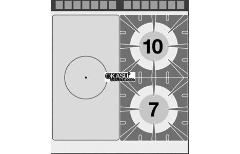 bep gas kem lo nuong dien lotus tpfv2-98ge hinh 3
