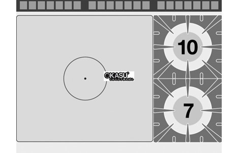 bep gas kem lo nuong dien lotus tpf2-912gev hinh 3