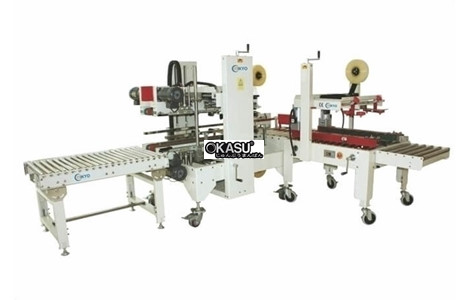 day chuyen dan thung carton tu dong mk-aplcs08 hinh 2